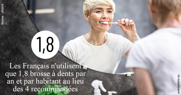 https://selarl-de-pape-romain.chirurgiens-dentistes.fr/Français brosses 2