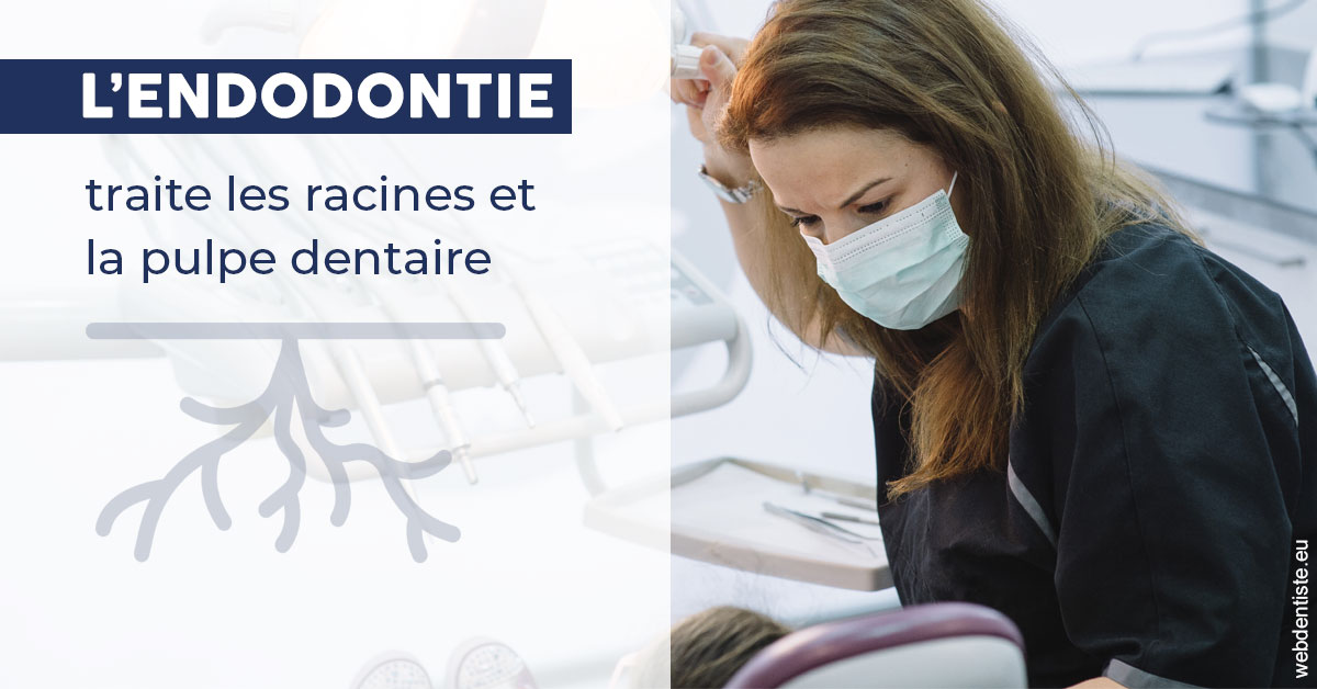 https://selarl-de-pape-romain.chirurgiens-dentistes.fr/L'endodontie 1