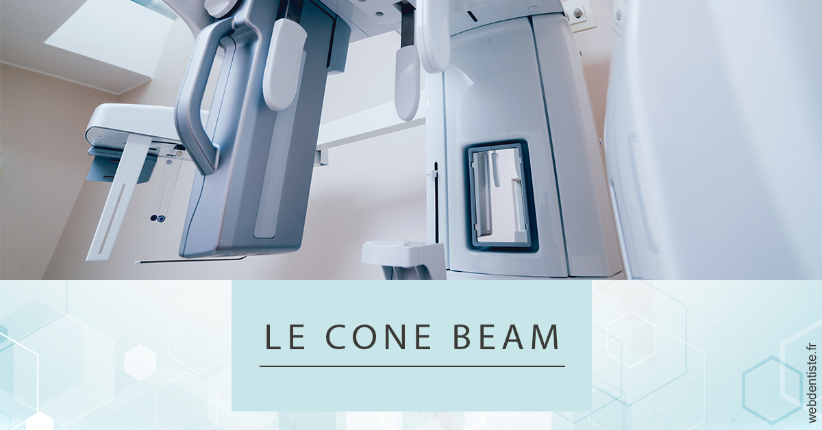 https://selarl-de-pape-romain.chirurgiens-dentistes.fr/Le Cone Beam 2