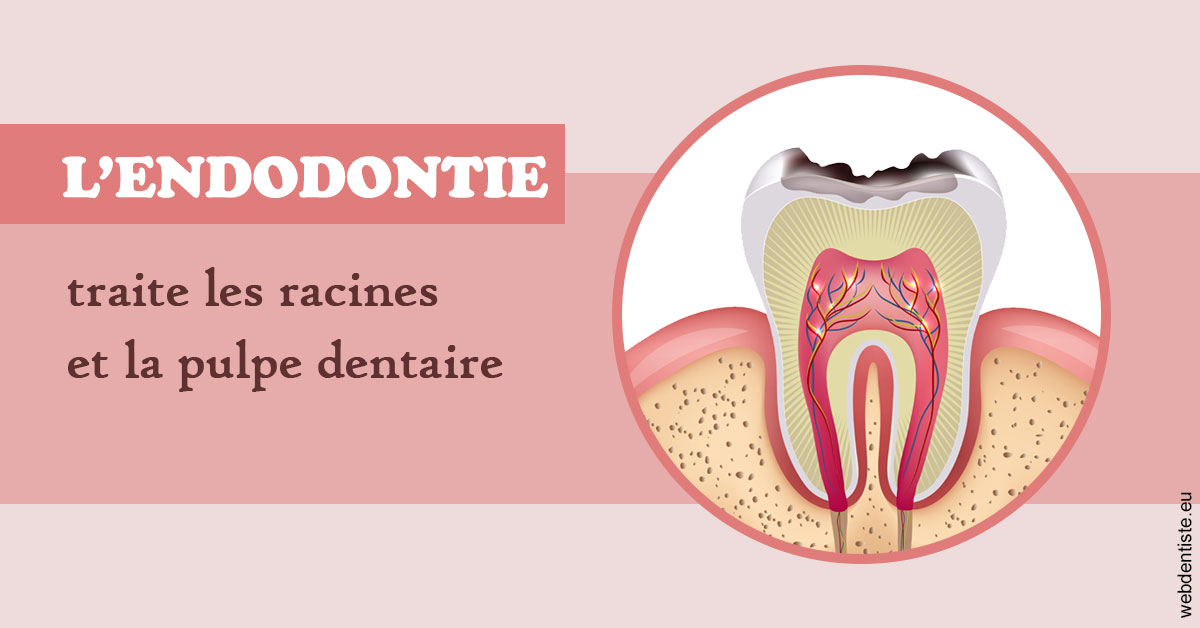 https://selarl-de-pape-romain.chirurgiens-dentistes.fr/L'endodontie 2