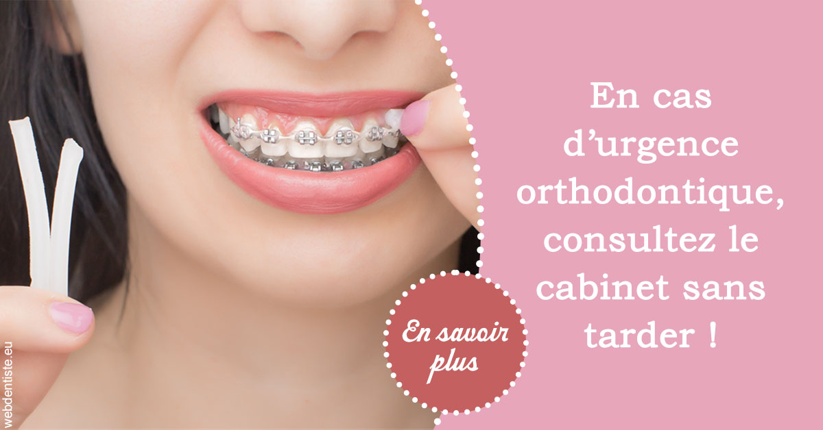 https://selarl-de-pape-romain.chirurgiens-dentistes.fr/Urgence orthodontique 1